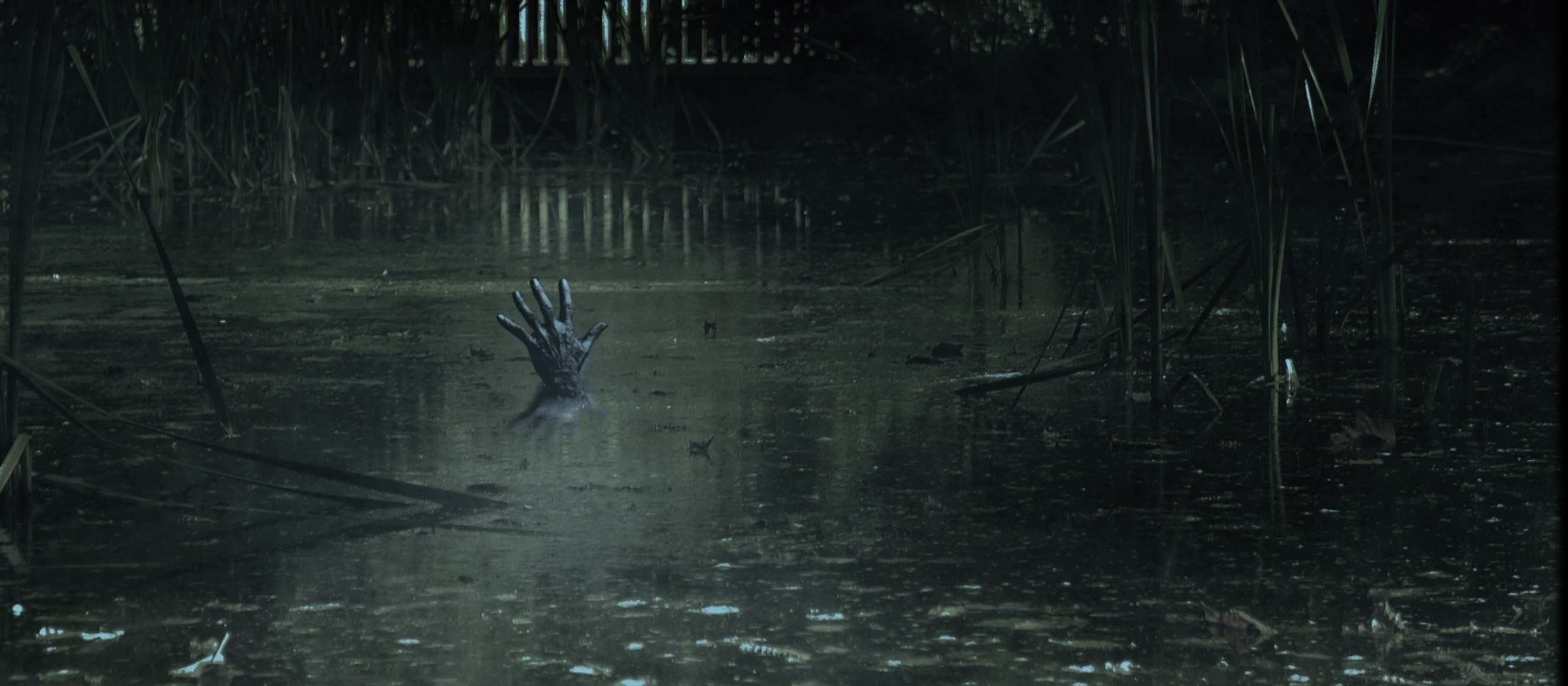 Photo of dark swamp with a monstrous hand shooting out from the water