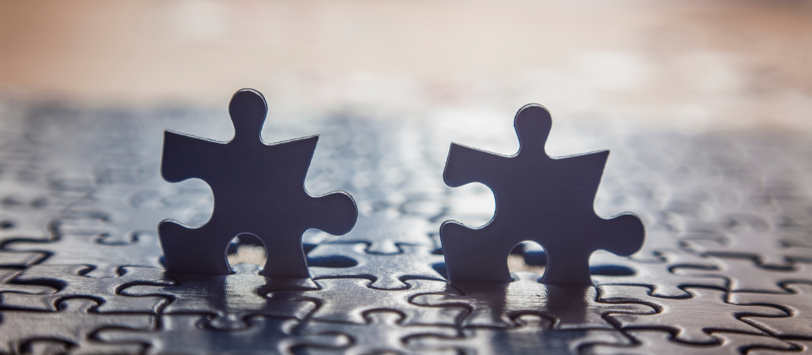 Photo of two puzzle pieces standing up atop a jigsaw puzzle
