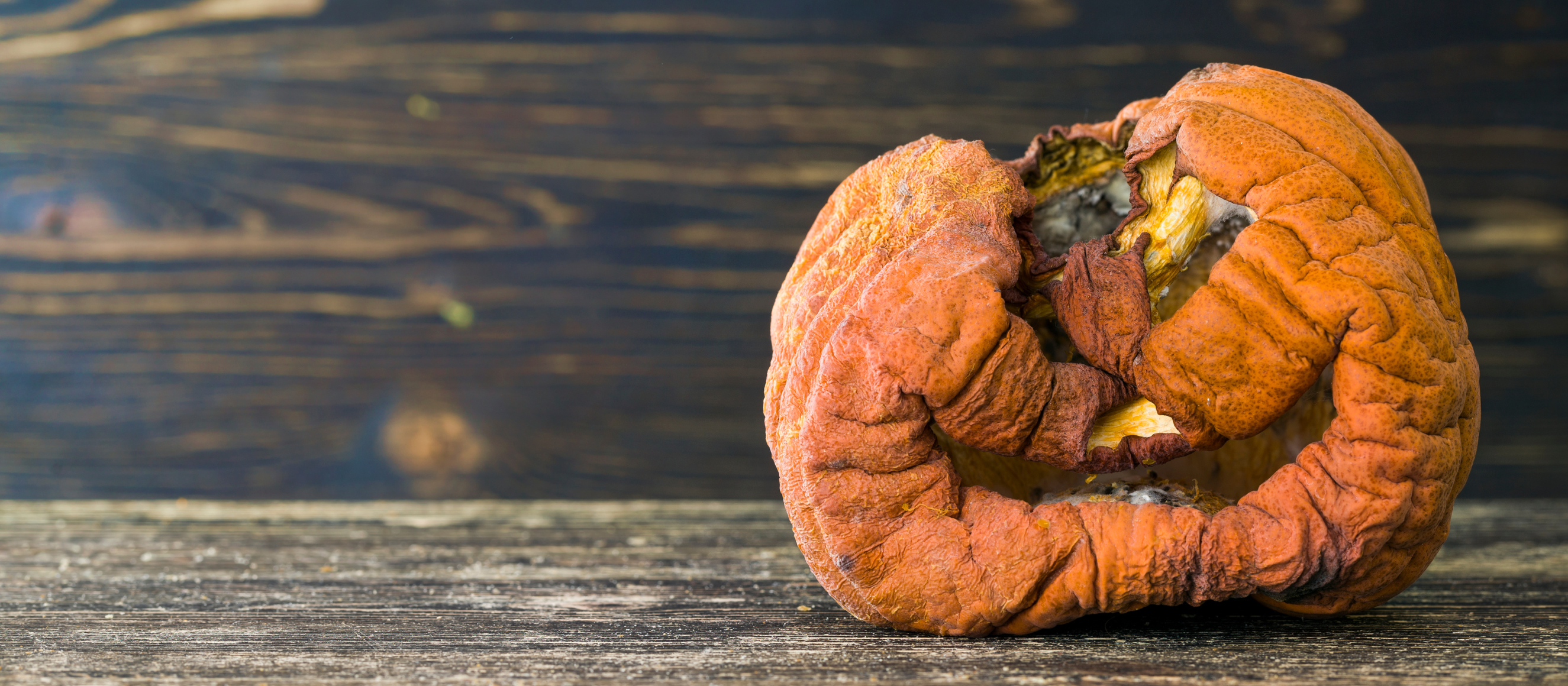 Photo of a rotting jack o'lantern